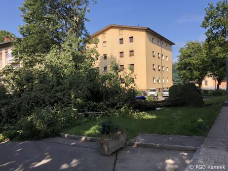 Stanje na terenu (6)